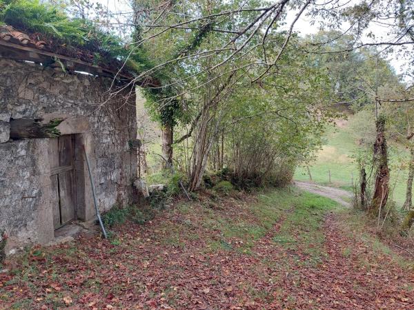 Finca rústica en Abamia s/n Cuetualeoa