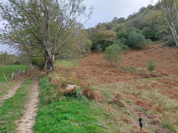 Finca rústica en Abamia s/n Cuetualeoa