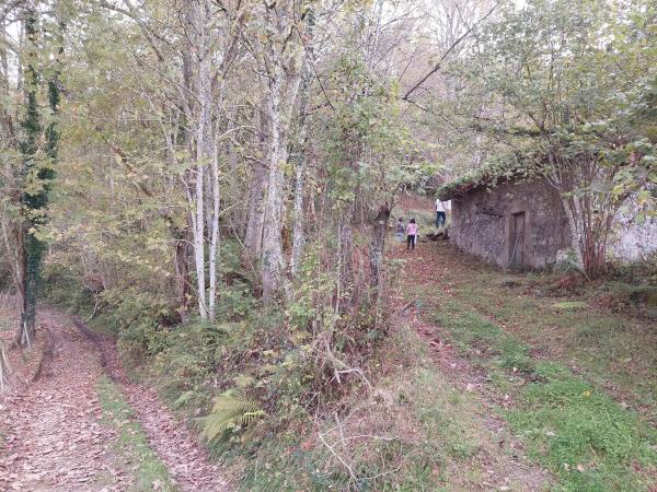 Finca rústica en Abamia s/n Cuetualeoa