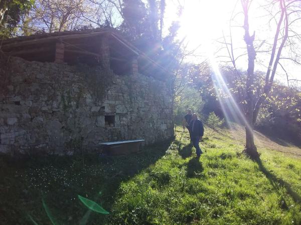 Finca rústica en Abamia s/n Cuetualeoa