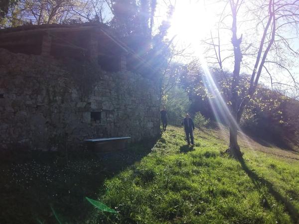 Finca rústica en Abamia s/n Cuetualeoa