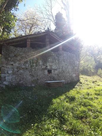 Finca rústica en Abamia s/n Cuetualeoa