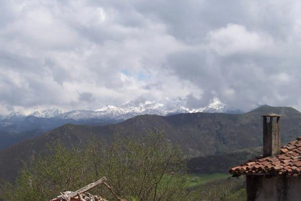 Finca rústica en seguencu, 12