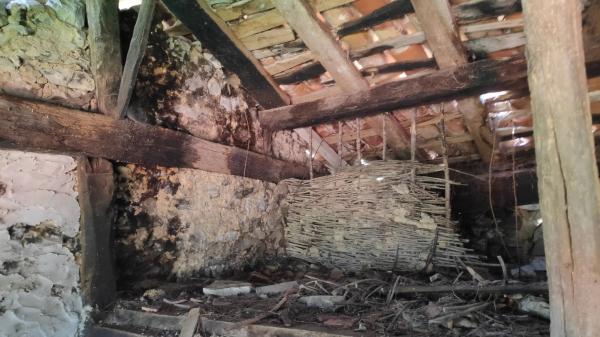 Finca rústica en seguencu, 12