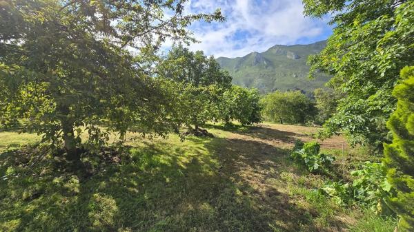 Casa independiente en Lugar Belmonte, 12