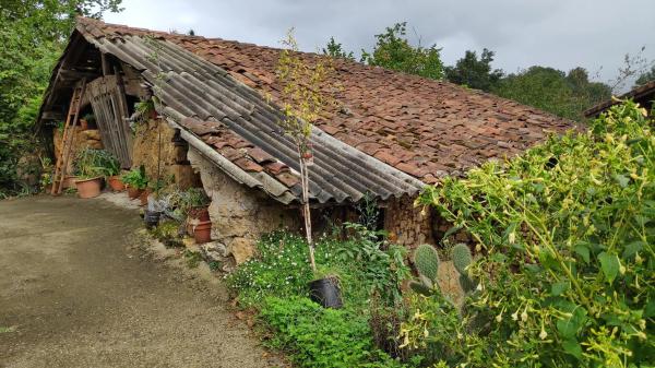 Casa independiente en cardes s/n