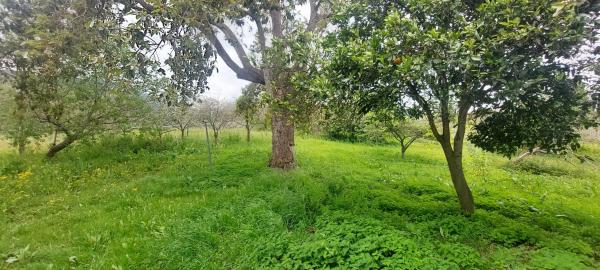 Casa independiente en Bueño, 18 ------a