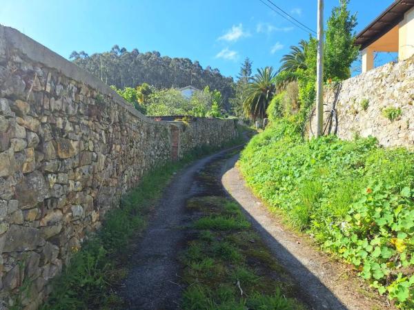Finca rústica en Lugar Berbes