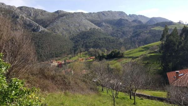 Casa independiente en via Alea, 1