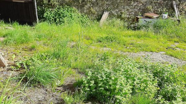 Casa de pueblo en ardisana 33507 s/n