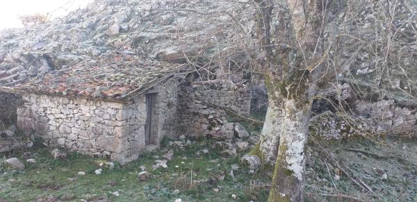 Casa rural en carretera Los Lagos De Covadonga s/n