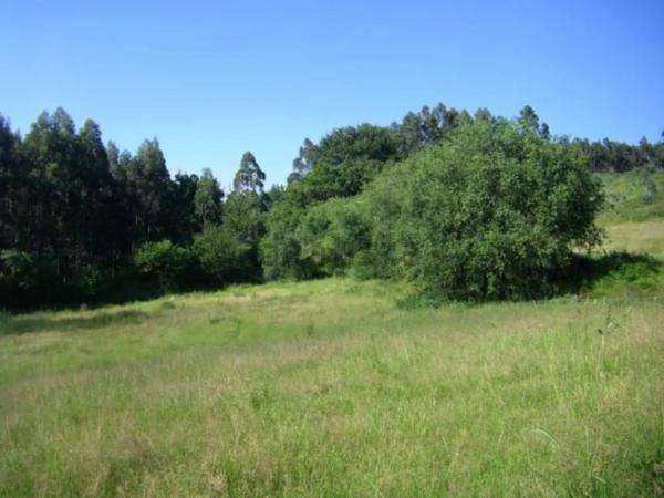 Casa independiente en carretera del Fito s/n