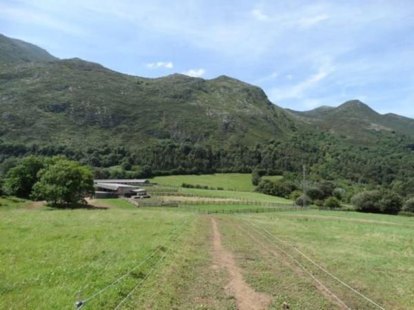 Casa independiente en carretera del Fito s/n