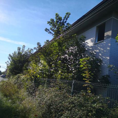 Casa independiente en calle Celorio, 18 D