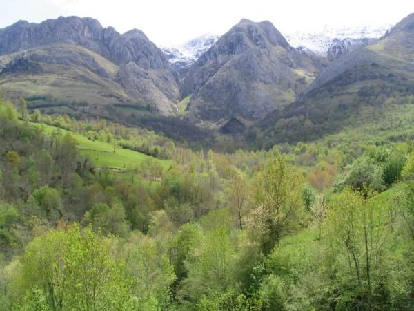 Casa rural en Aldea Berodia, 47