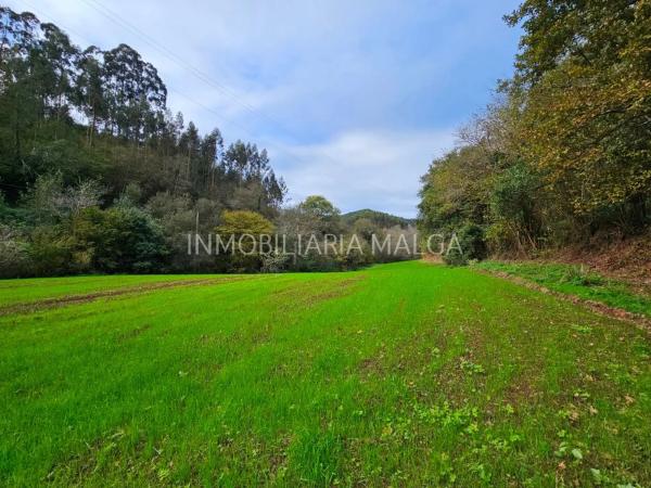 Casa independiente en Caserio Cerezaledo, 213 a