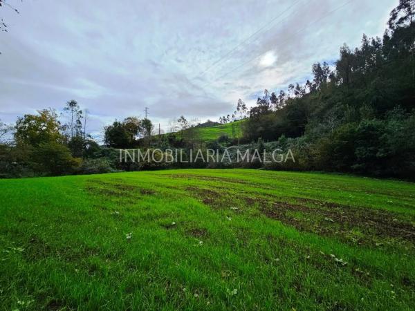 Casa independiente en Caserio Cerezaledo, 213 a