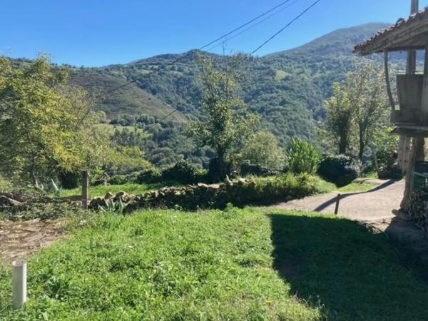 Casa independiente en Carua s/n