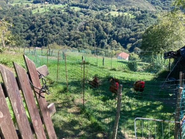 Casa independiente en Carua s/n