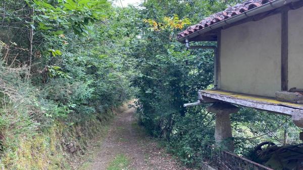 Casa independiente en Santoveña