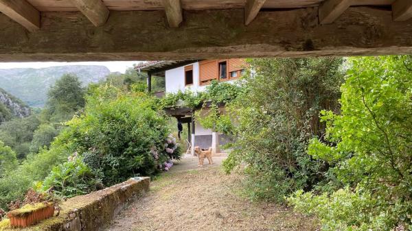 Casa independiente en Santoveña