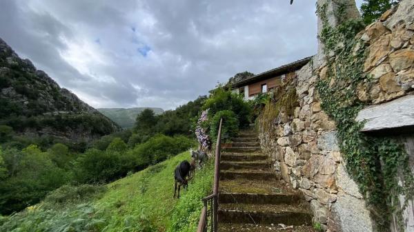 Casa independiente en Santoveña
