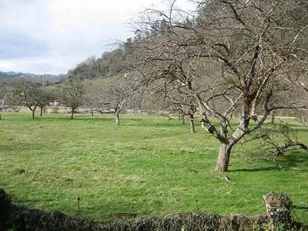 Caserón en Peleon s/n Sn