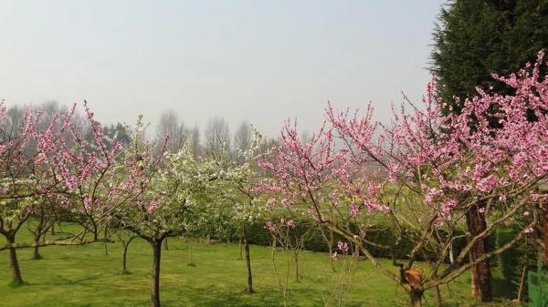 Casa independiente en La Morca, 634