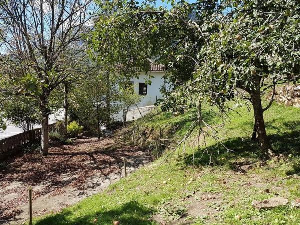 Casa independiente en Cangas de Onís - Panes
