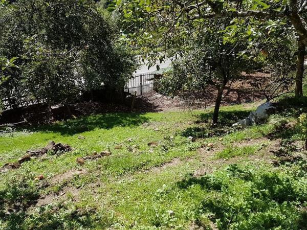 Casa independiente en Cangas de Onís - Panes