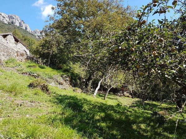 Casa independiente en Cangas de Onís - Panes