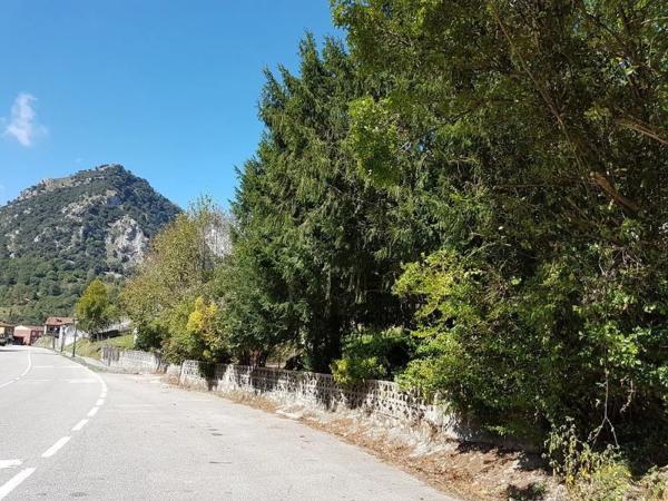 Casa independiente en Cangas de Onís - Panes