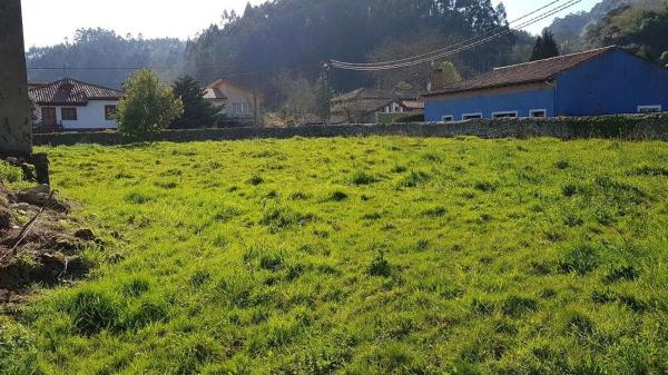 Casa independiente en Cardoso - Rales