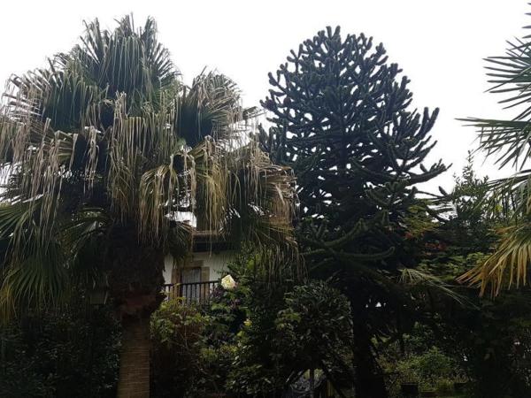 Casa independiente en Aldea Bricia