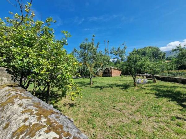 Casa independiente en Celoriu