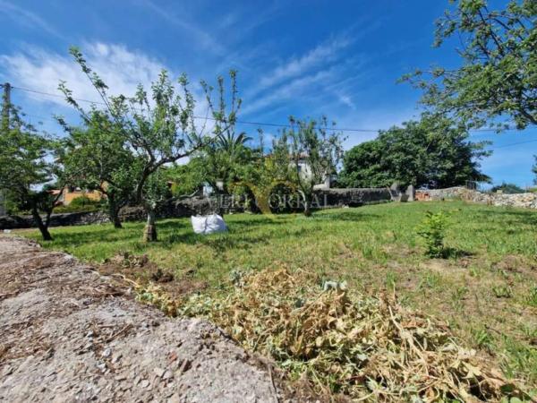 Casa independiente en Celoriu