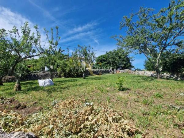 Casa independiente en Celoriu