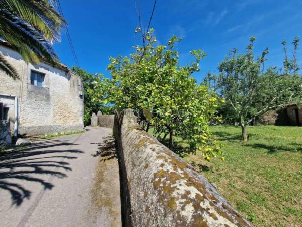 Casa independiente en Celoriu