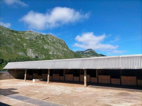 Finca rústica en carretera del Fito, 15 Km