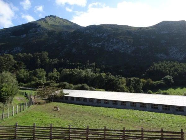 Finca rústica en carretera del Fito, 15 Km