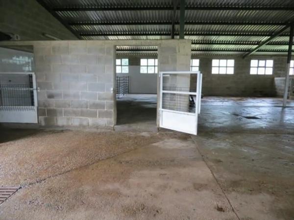 Finca rústica en carretera del Fito, 15 Km