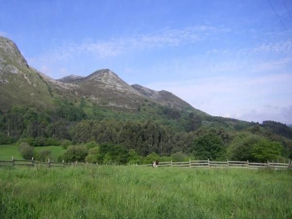 Finca rústica en carretera del Fito, 15 Km
