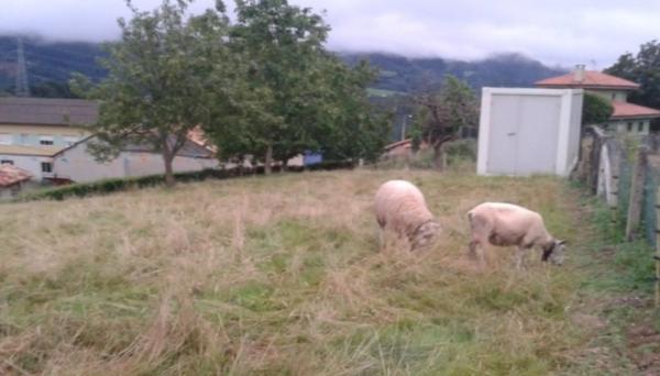 Casa de pueblo en Bargaedo s/n Sin numero