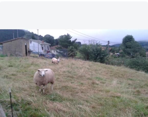 Casa de pueblo en Bargaedo s/n Sin numero