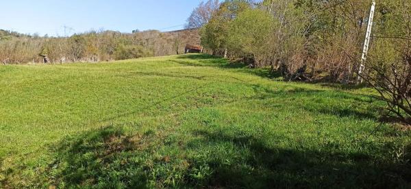Finca rústica en calle Puertas de cabrales s/n