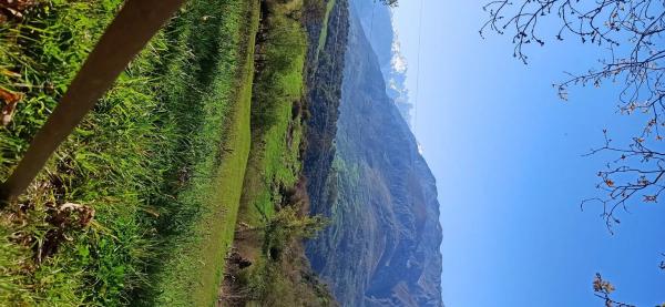 Finca rústica en calle Puertas de cabrales s/n