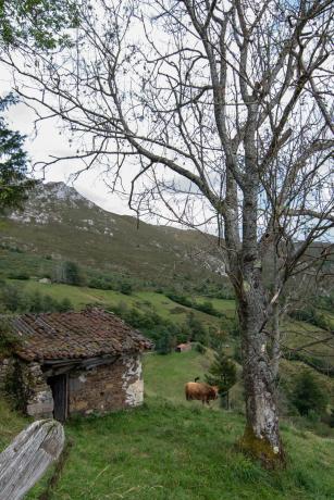 Finca rústica en Pi-4 s/n