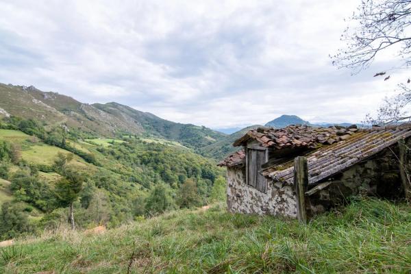 Finca rústica en Pi-4 s/n