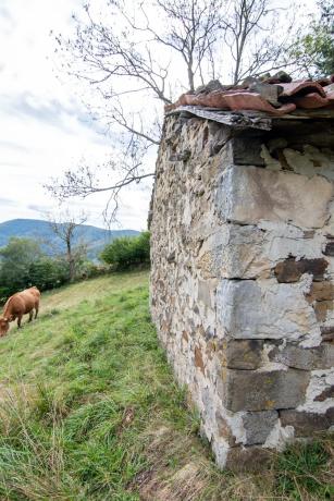 Finca rústica en Pi-4 s/n