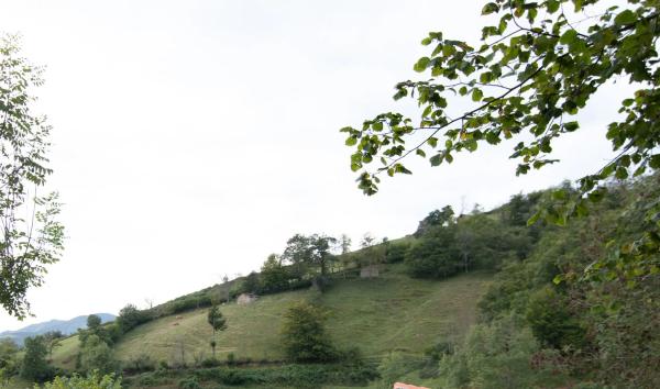 Finca rústica en Pi-4 s/n